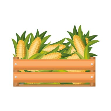 renkli corncobs ile ahşap kutu silüeti