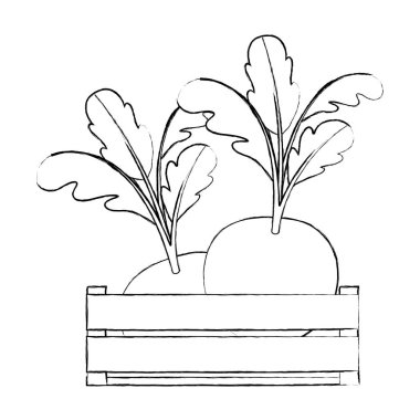 tek renkli siluet ile pancar closeup içinde ahşap kutusunun bulanık