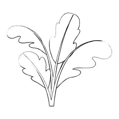 tek renkli siluet pancar bitki bulanık