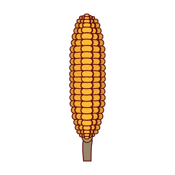 Fondo blanco con mazorca de maíz en primer plano y contorno grueso — Archivo Imágenes Vectoriales