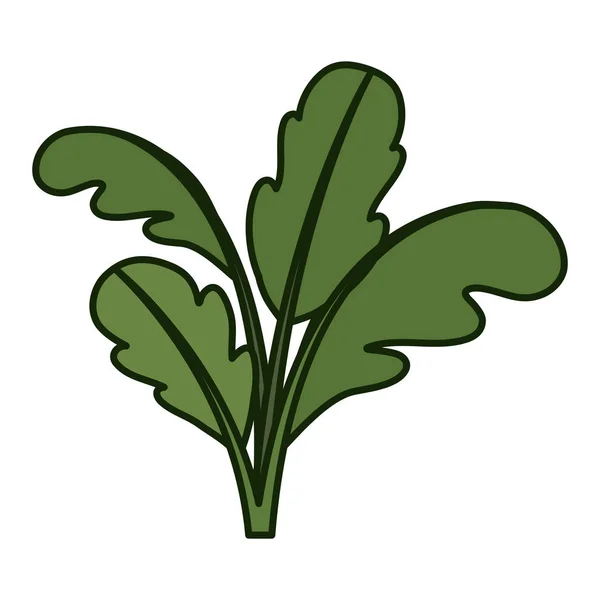 Fond blanc avec plante de betterave avec contour épais — Image vectorielle