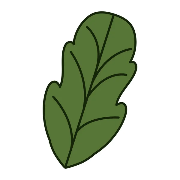 叶厚轮廓与甜菜带有白色背景 — 图库矢量图片