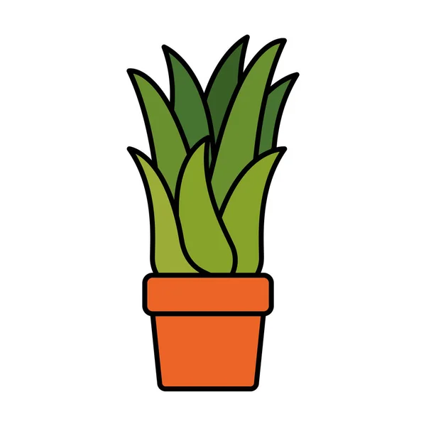 Λευκό φόντο με καλαμπόκι φυτό σε γλάστρα με παχύ περίγραμμα — Διανυσματικό Αρχείο