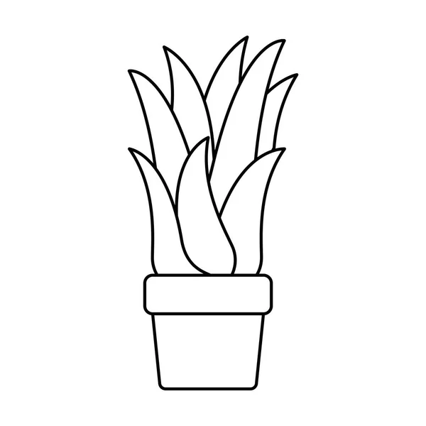 玉米植物在花盆中的黑色剪影 — 图库矢量图片