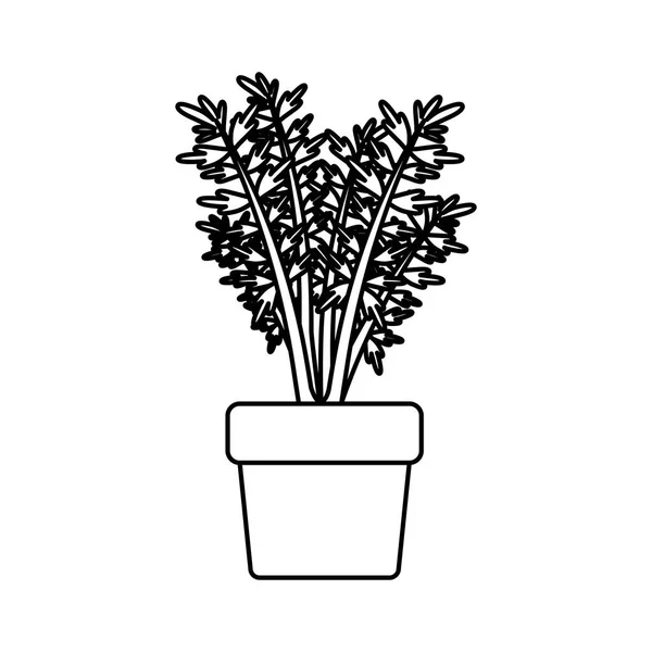 Schwarze Silhouette einer Möhrenpflanze im Blumentopf — Stockvektor