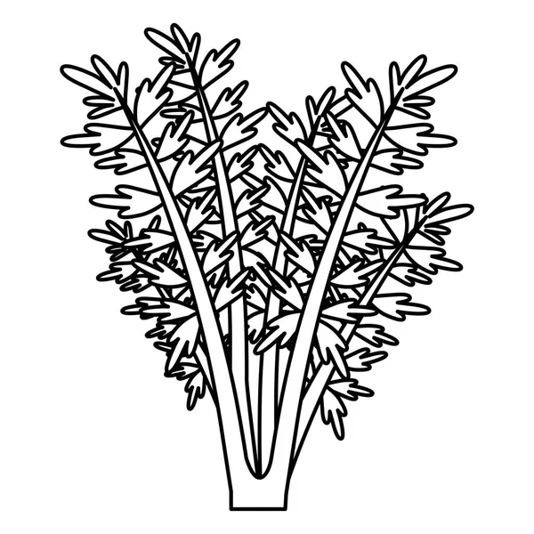 Silueta negra de la planta de zanahoria — Vector de stock