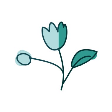 Lale çiçek kök ve yaprak üzerinde aquamarine suluboya el çizilmiş silueti