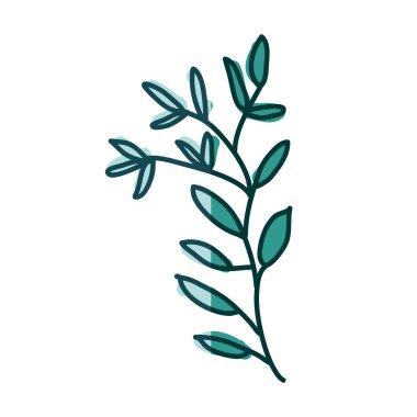 suluboya el şube Akuamarin yaprakları ile çizilmiş silueti