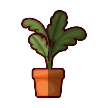 kalın kontur ile çiçek tencerede pancar üretim tesisi ile beyaz arka plan