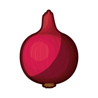 Beyaz arka plan ile kalın kontur gerçekçi kırmızı pancar ile