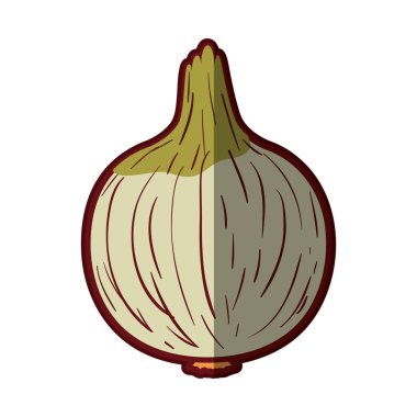 Beyaz arka plan closeup kalın kontur ile soğan ile