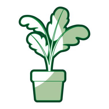 saksıyı kalın kontur ile pancar bitkinin yeşil siluet