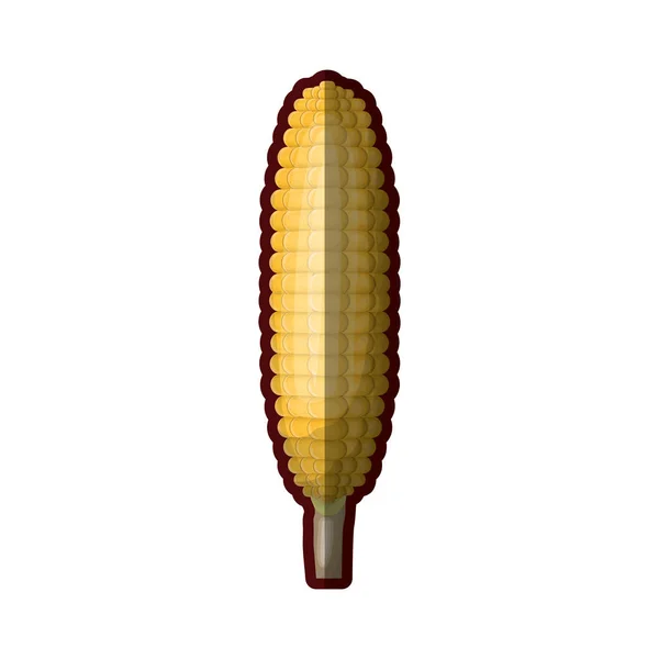 흰색 배경에서 현실적인 corncob 두꺼운 윤곽선으로 가까이 — 스톡 벡터