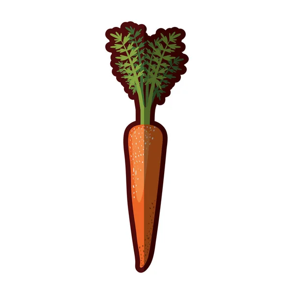 Білий фон моркви зі стеблом і листям і плямами і половиною тіні — стоковий вектор