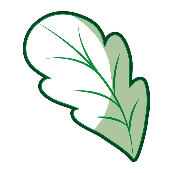 Yeşil yaprak pancar kalın kontur ile önden görünümü silüeti — Stok Vektör