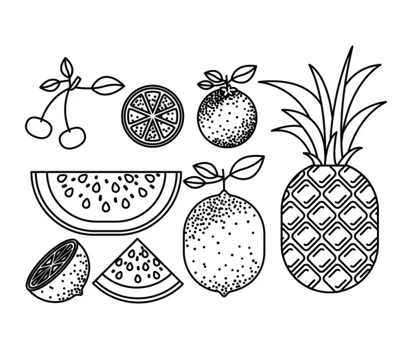Монохромный силуэт с набором тропических фруктов — стоковый вектор