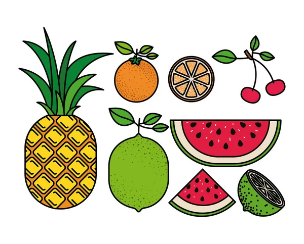 Silhueta colorida com conjunto de frutas tropicais —  Vetores de Stock