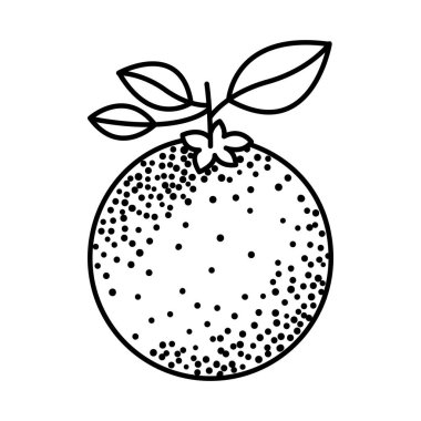 siyah siluet turuncu meyve ile kök ve yaprakları