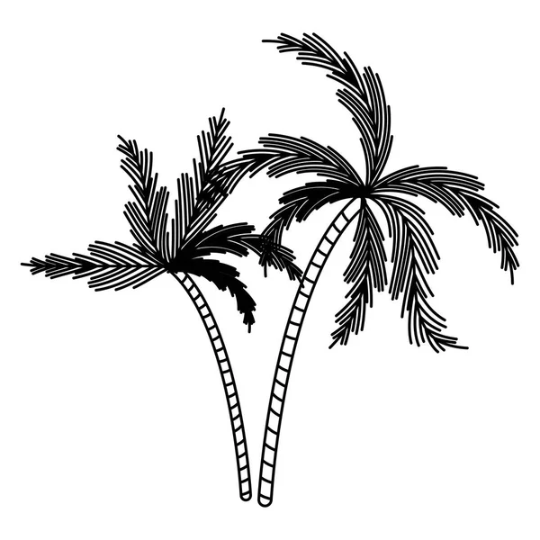Черный силуэт с двумя пальмами — стоковый вектор