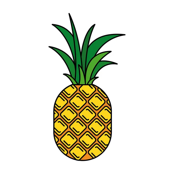 Färgglada siluett med ananas frukt — Stock vektor