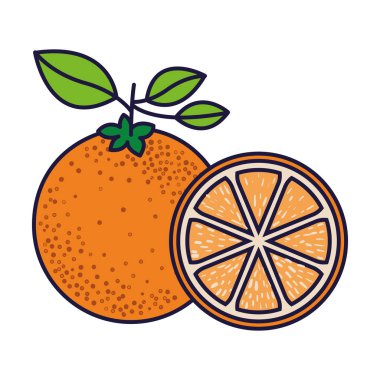 Beyaz arka plan ile bir turuncu meyve ve portakal dilim