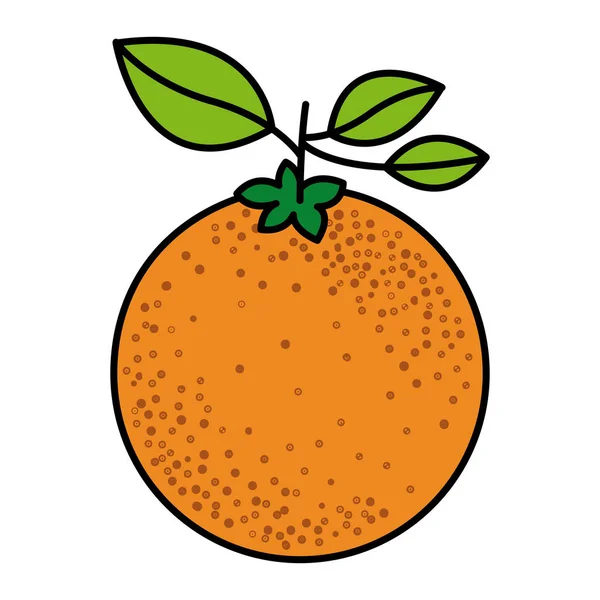 Silueta colorida con fruta naranja con tallo y hojas — Vector de stock