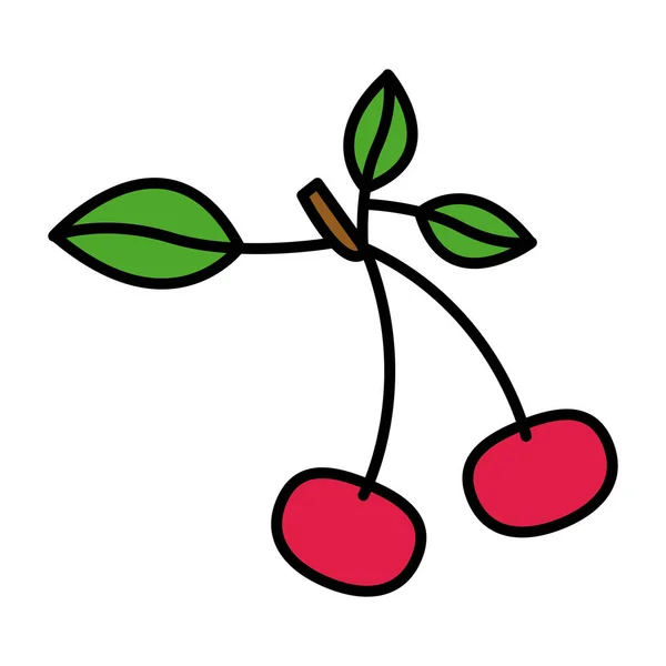 Färgglada siluett med körsbär frukter med stam och blad — Stock vektor