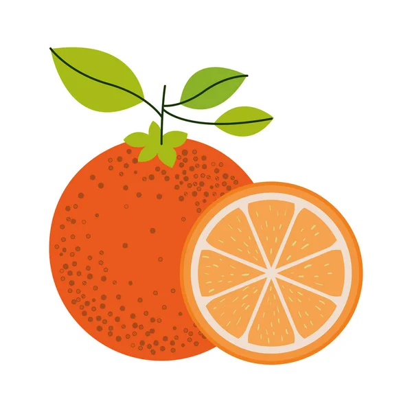 Fundo branco com uma fruta laranja e uma fatia de laranja e sem contorno — Vetor de Stock