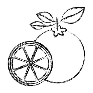 bir limon meyve ve limon dilim bulanık kalın siluet