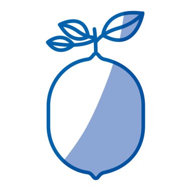 Mavi gölgelendirme siluet limon meyve ile kök ve yaprakları