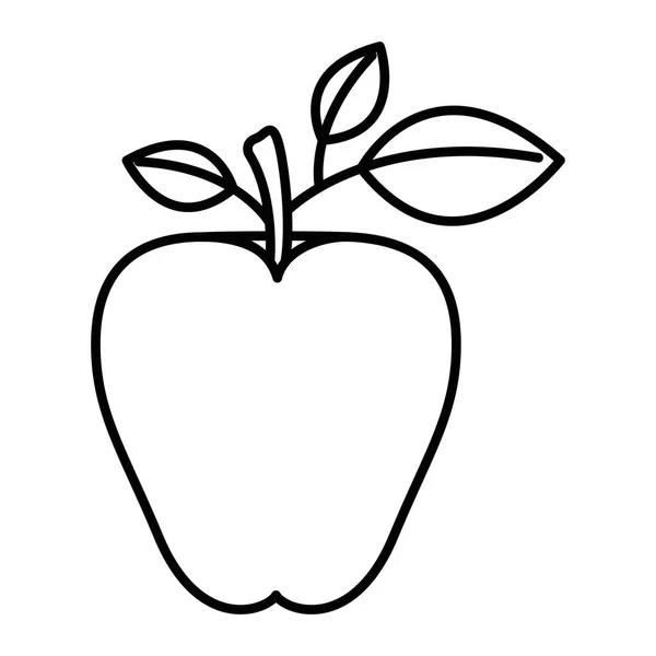 Siluet görüntü elma meyve kök ve yaprakları ile kroki — Stok Vektör