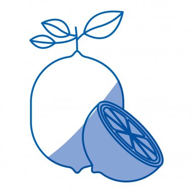 Mavi gölgelendirme siluet limon meyve ile kök ve yaprakları ve limon ikiye ayırmak