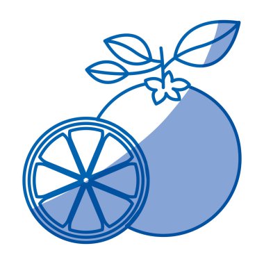 Mavi gölgelendirme siluet turuncu meyve ve portakal dilim