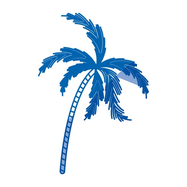 Blue shading silhouette of palm tree — Stock Vector