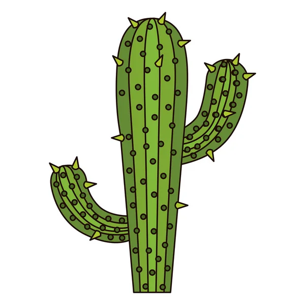 Bílé pozadí s kaktusy se dvě větve a tlusté obrysu — Stockový vektor