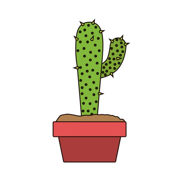 Bílé pozadí s kaktusy s velké pobočky v hrnci s hustou obrys — Stockový vektor