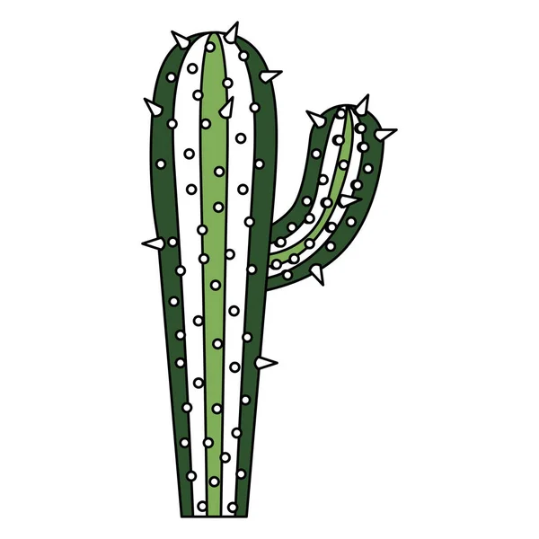 Sections de couleur silhouette de cactus avec grande branche avec contour épais — Image vectorielle