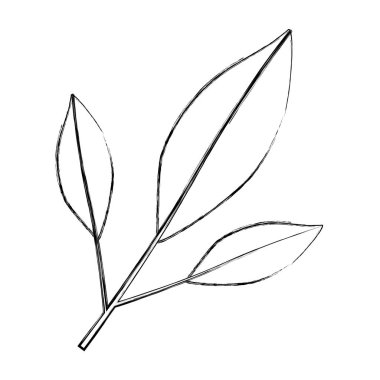 tek renkli siluet Şubesi closeup yapraklarla bulanık