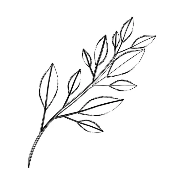 Fekete-fehér homályos sziluettje ág levelekkel — Stock Vector