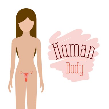 üreme sistemi insan vücudu ile renkli siluet kadın kişi