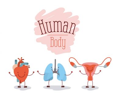 renkli siluet karikatür mutlu yüz insan vücut sistemleri ayarla