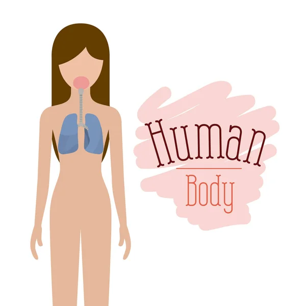 Silueta colorida persona femenina con sistema respiratorio cuerpo humano — Vector de stock