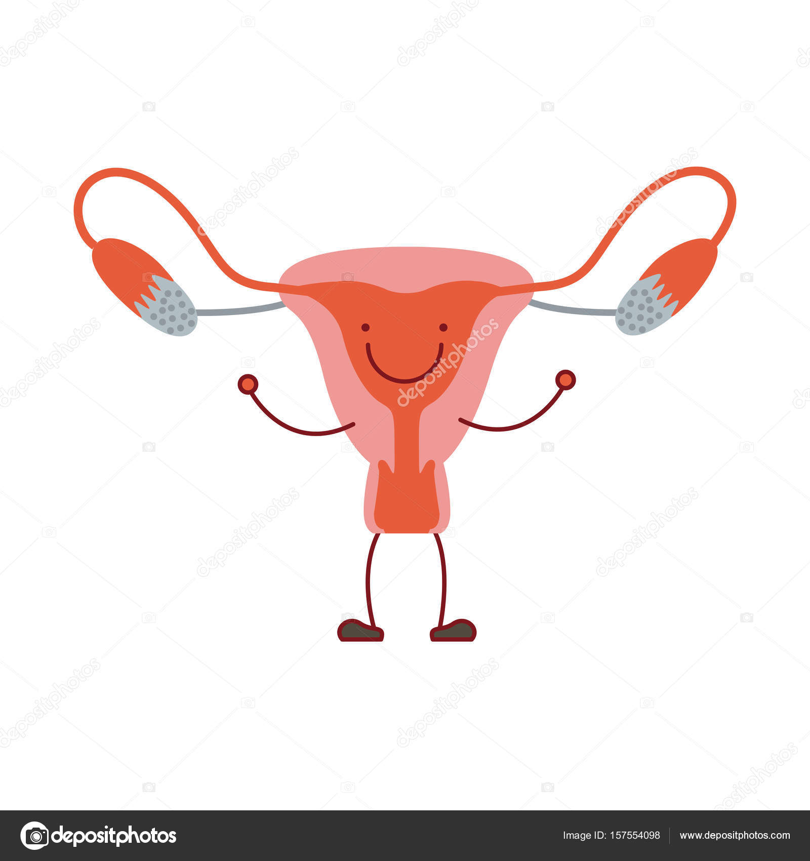 Colorful silhouette caricature with happy face female reproductive system  Stock Vector Image by ©grgroupstock #157554098
