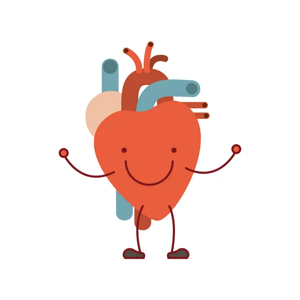 Caricature de silhouette colorée avec système circulatoire visage heureux avec coeur — Image vectorielle