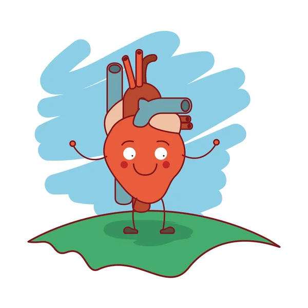 Барвиста сцена в траві з силуетом карикатурної системи кровообігу з серцем — стоковий вектор
