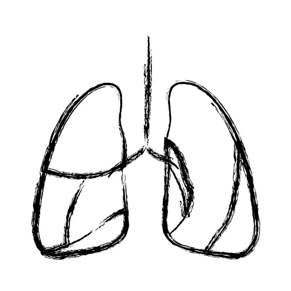 Verschwommene Handzeichnung Kontur Atmungssystem — Stockvektor