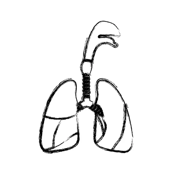 Размытый реалистичный силуэт дыхательной системы с трахеей — стоковый вектор