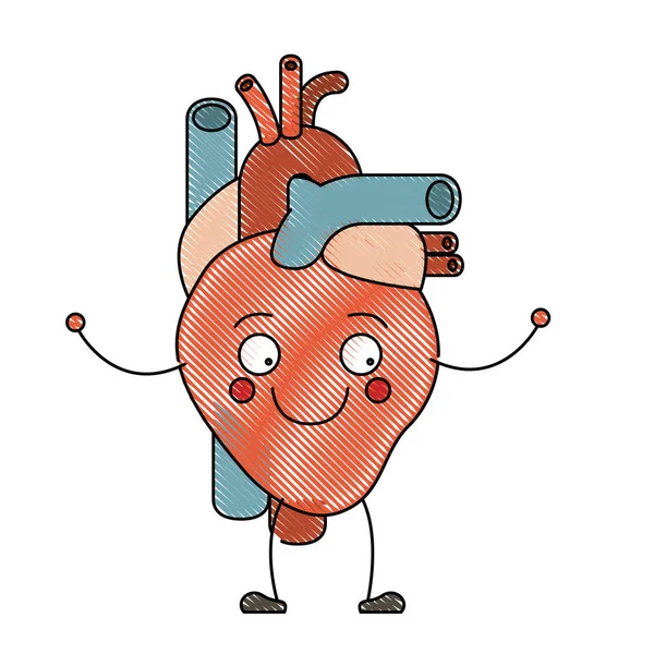 Цветной карандашный силуэт карикатурной системы кровообращения с сердцем — стоковый вектор