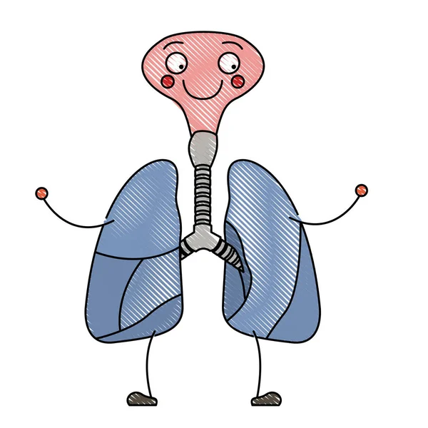 彩色蜡笔剪影漫画呼吸系统及气管 — 图库矢量图片