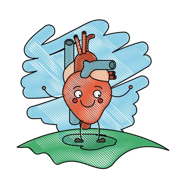 Cor crayon cena na grama com silhueta caricatura sistema circulatório com coração —  Vetores de Stock